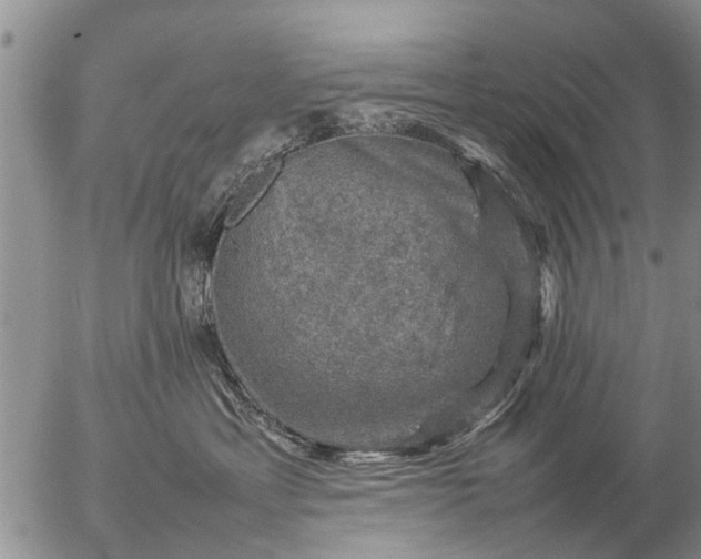 X0000057080429200509161609