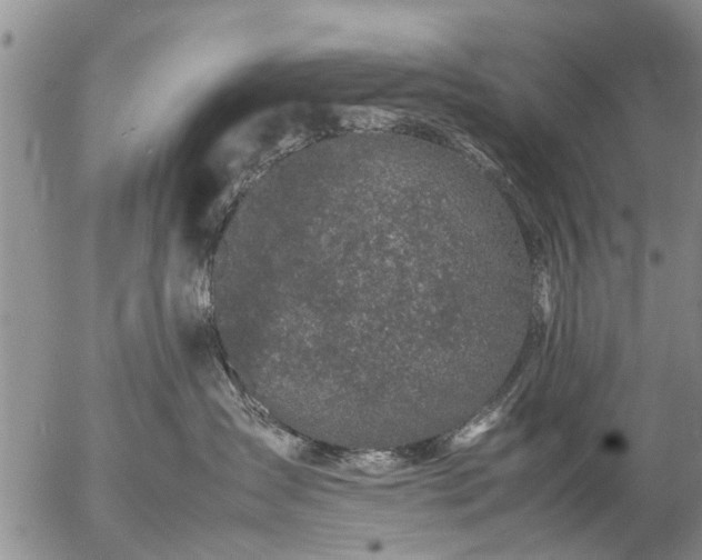 X0000057080431200509161609