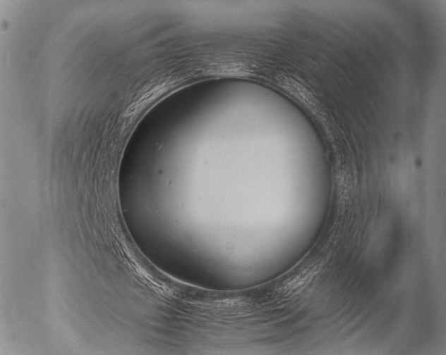 X0000057080433200509161608