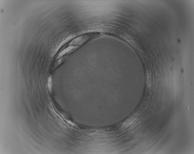 X0000057080434200509161608