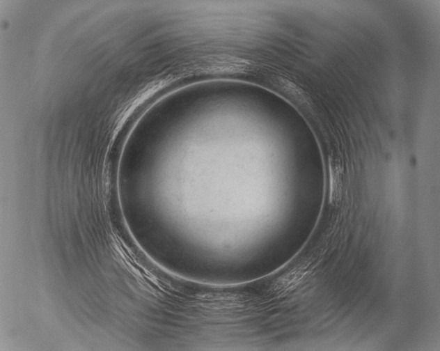 X0000057080435200509161608