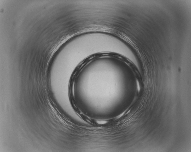 X0000057080436200509161608