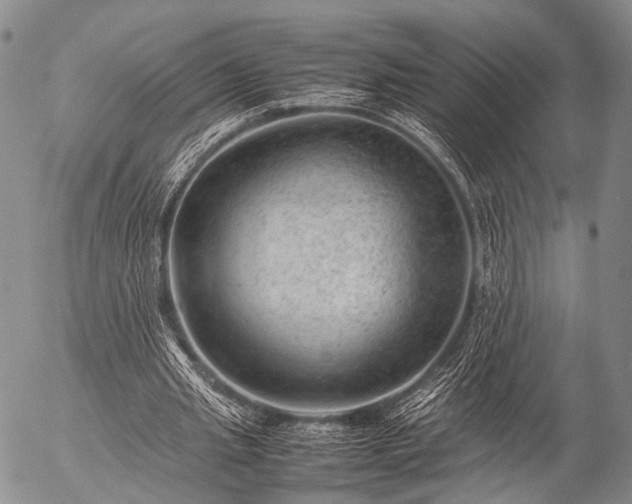 X0000057080437200509161608