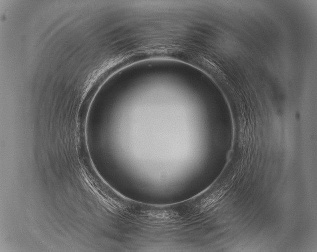 X0000057080439200509161608