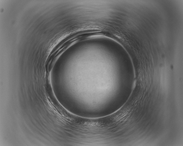 X0000057080440200509161608