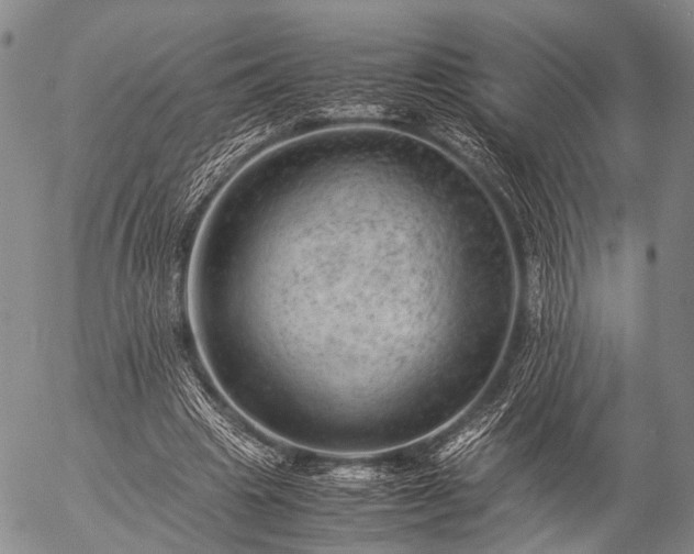 X0000057080441200509161608