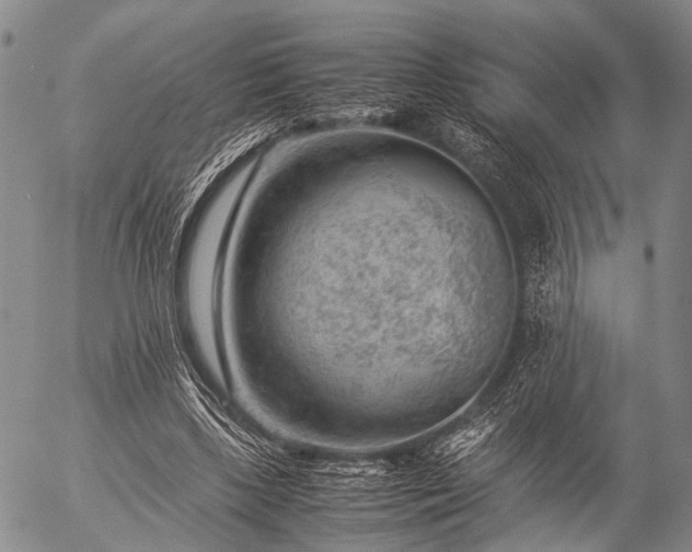 X0000057080443200509161608