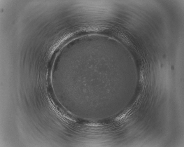 X0000057080444200509161608