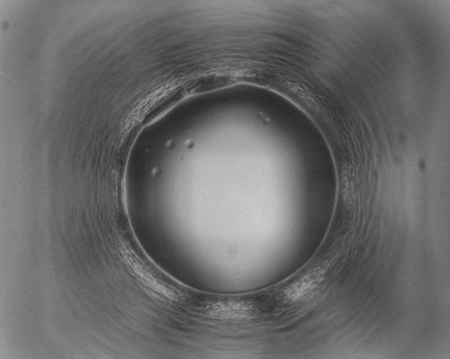 X0000057080445200509161608