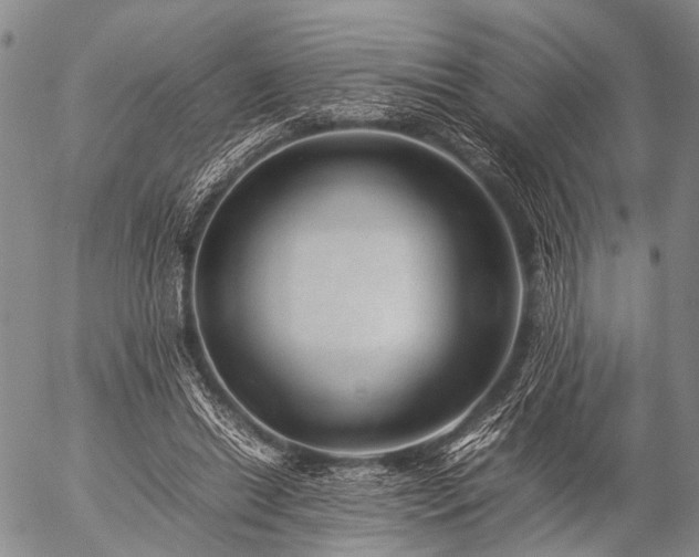 X0000057080446200509161608