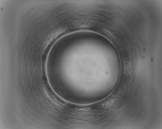 X0000057080447200509161608