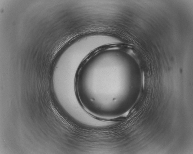 X0000057080448200509161608