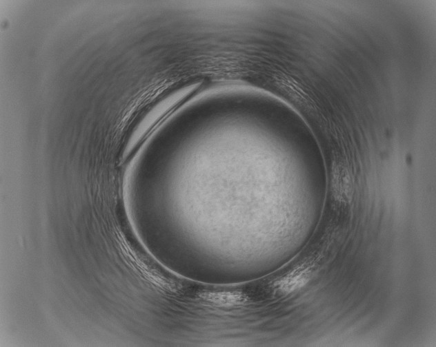 X0000057080449200509161608