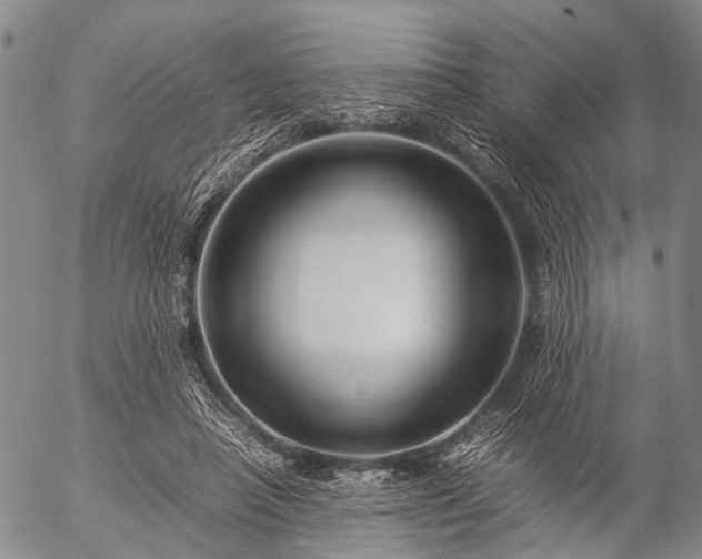 X0000057080450200509161608