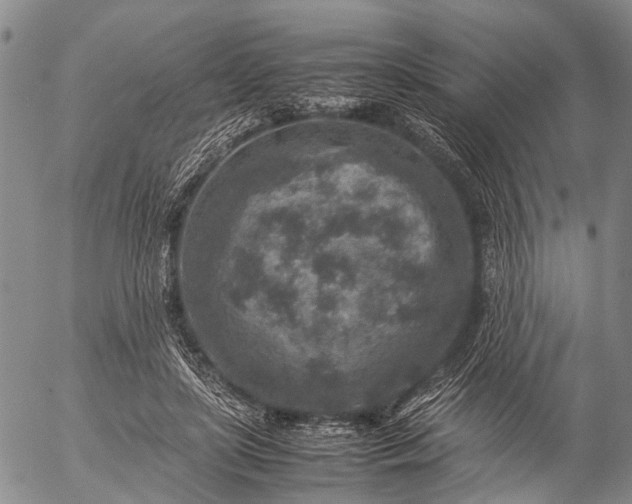 X0000057080451200509161608