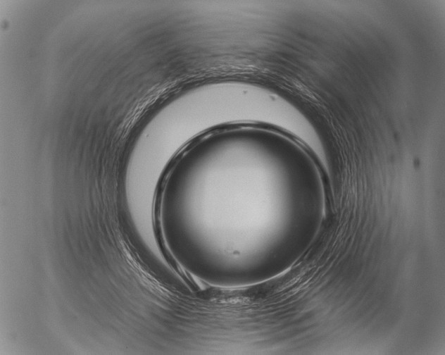 X0000057080452200509161608