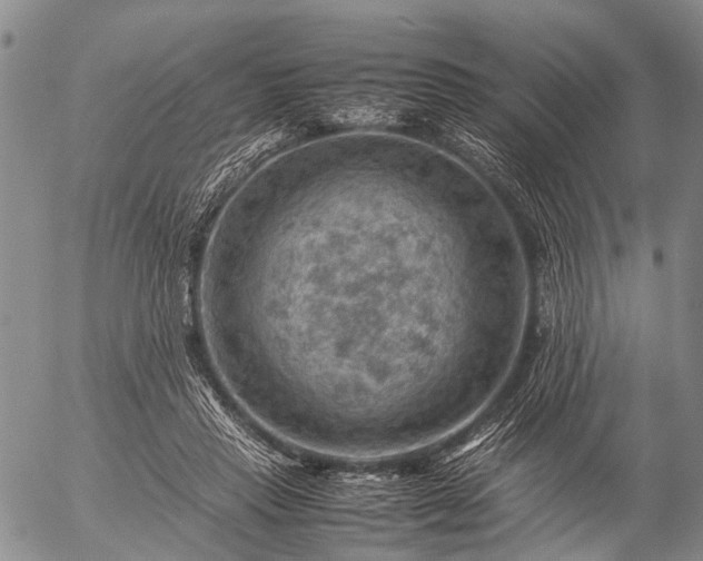 X0000057080453200509161608