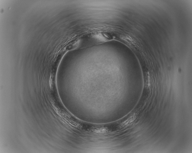 X0000057080456200509161608