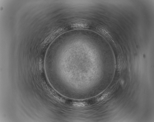 X0000057080457200509161608