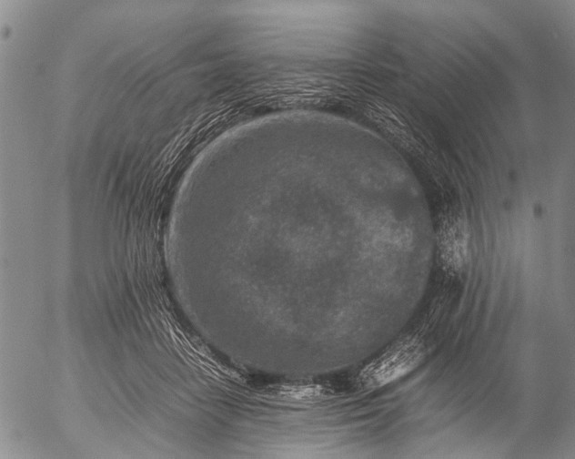 X0000057080458200509161608