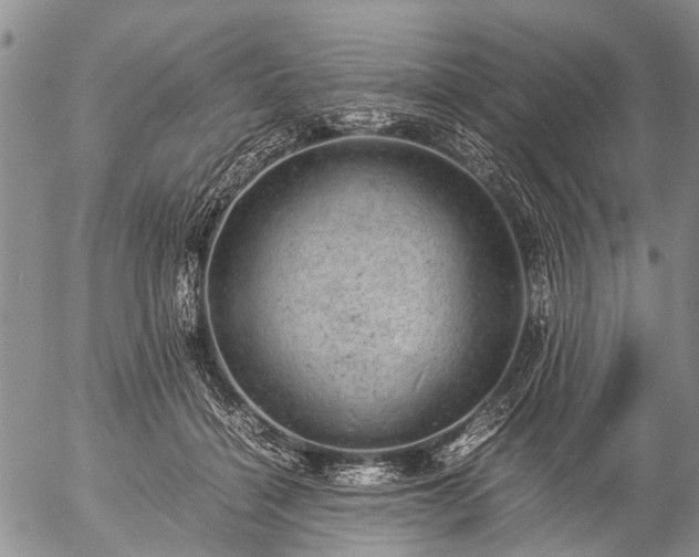 X0000057080460200509161608