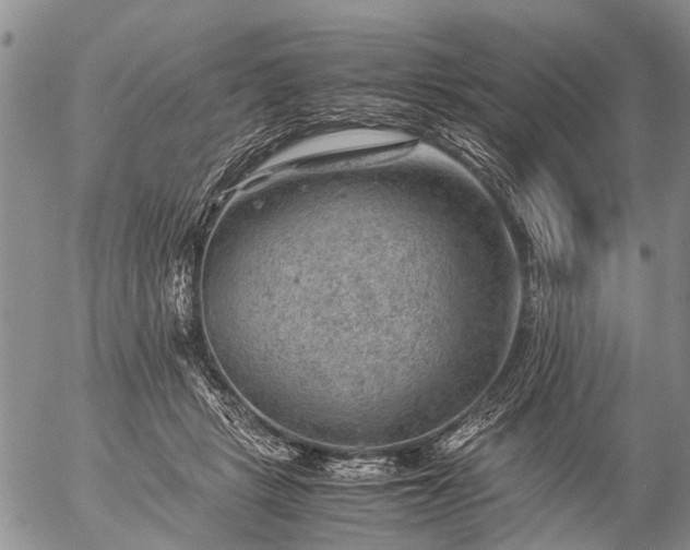 X0000057080461200509161608