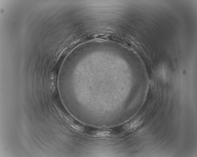 X0000057080462200509161608