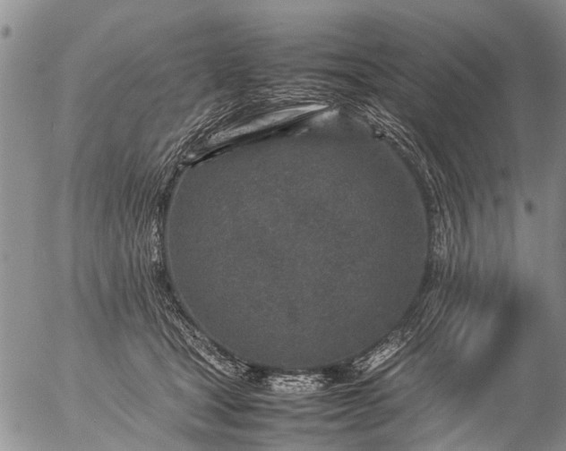 X0000057080465200509161608