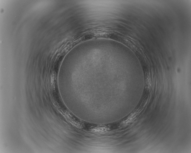 X0000057080468200509161608