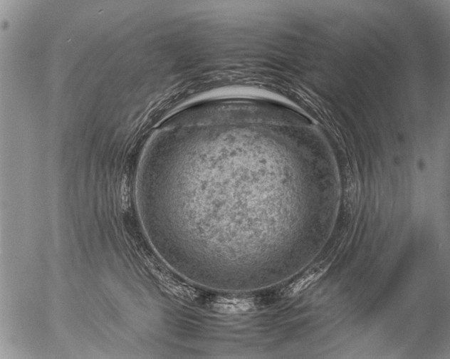 X0000057080469200509161608