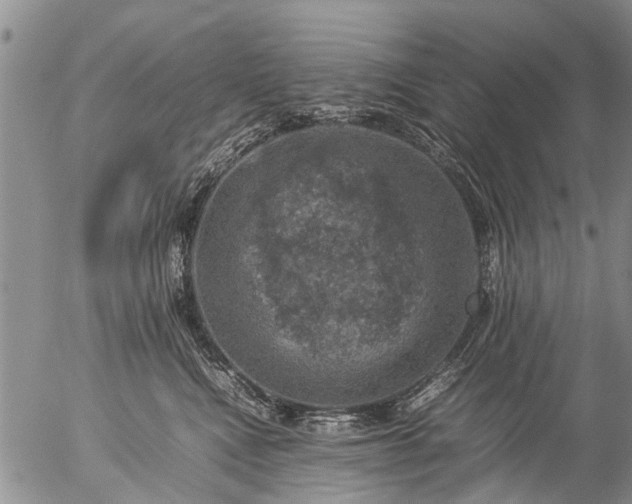 X0000057080472200509161608