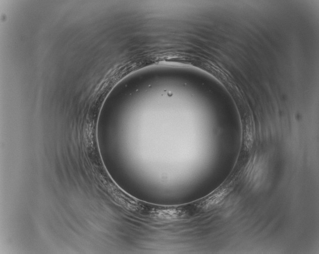 X0000057080473200509161608