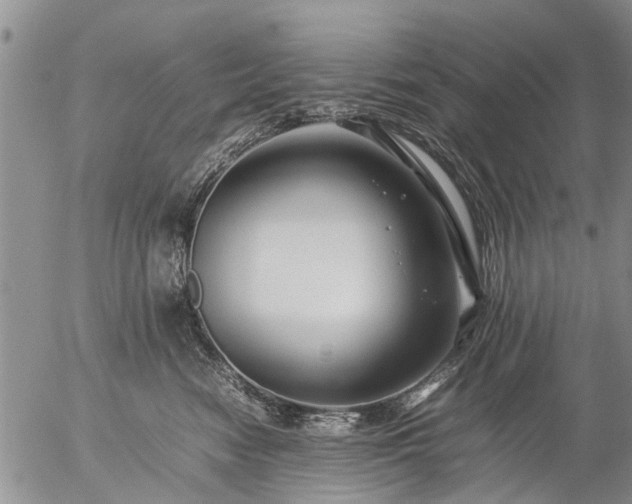 X0000057080474200509161608