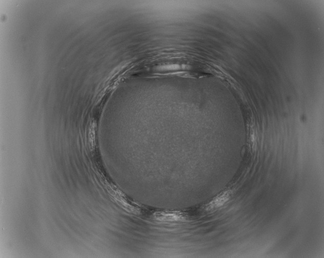 X0000057080475200509161608