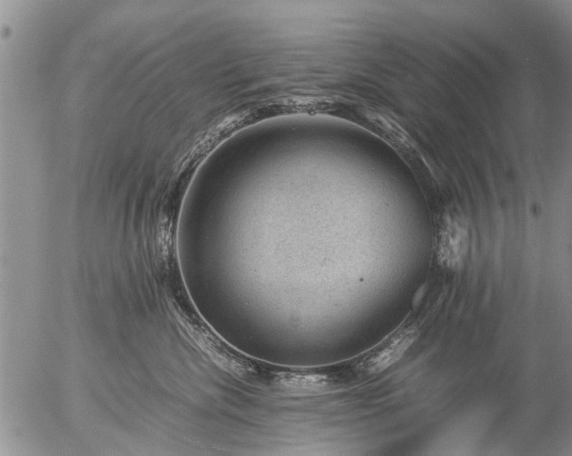 X0000057080476200509161609