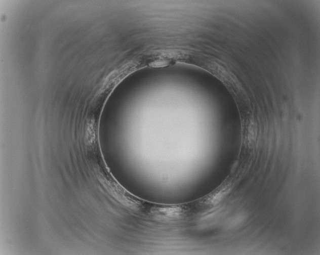 X0000057080478200509161609