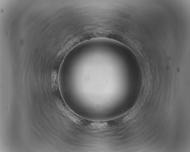 X0000057080480200509161609