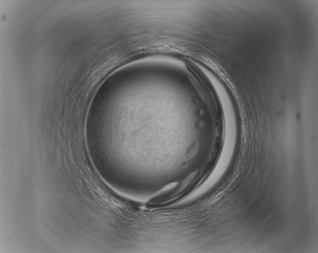 X0000057080481200509161608