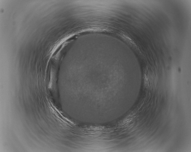 X0000057080484200509161608