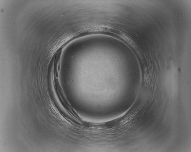 X0000057080485200509161608