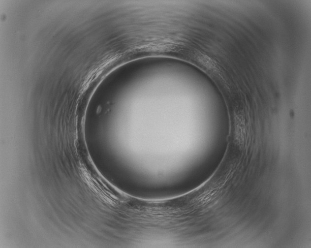 X0000057080486200509161608