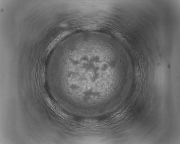 X0000057080487200509161608