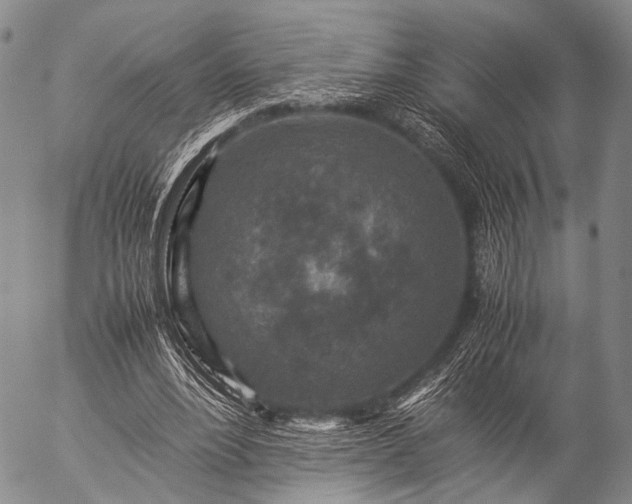 X0000057080488200509161608