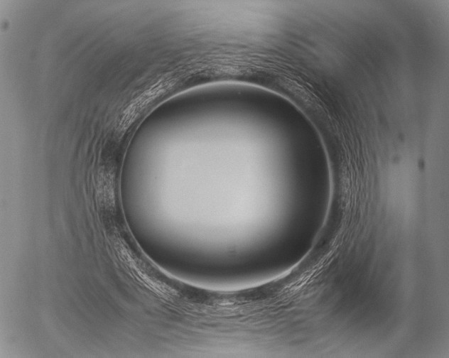 X0000057080489200509161608