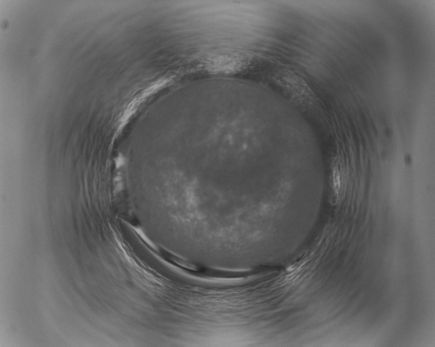 X0000057080492200509161608