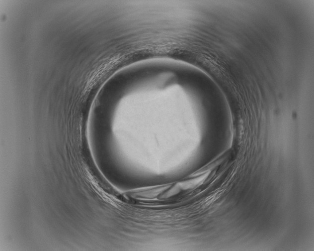 X0000057080493200509161608