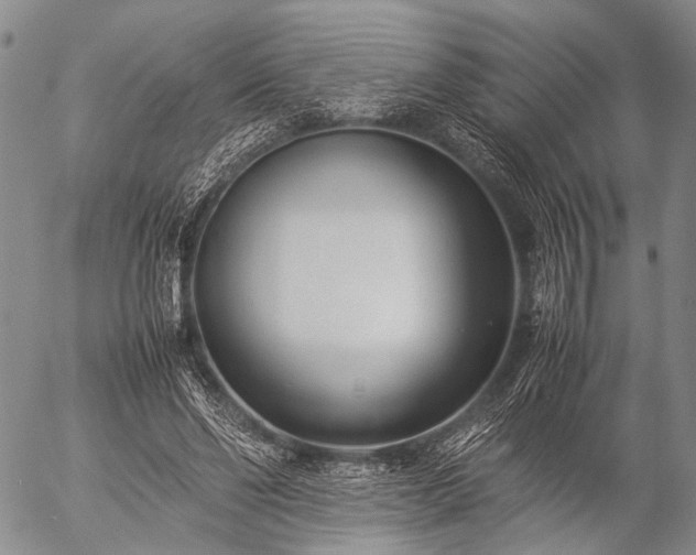 X0000057080494200509161608