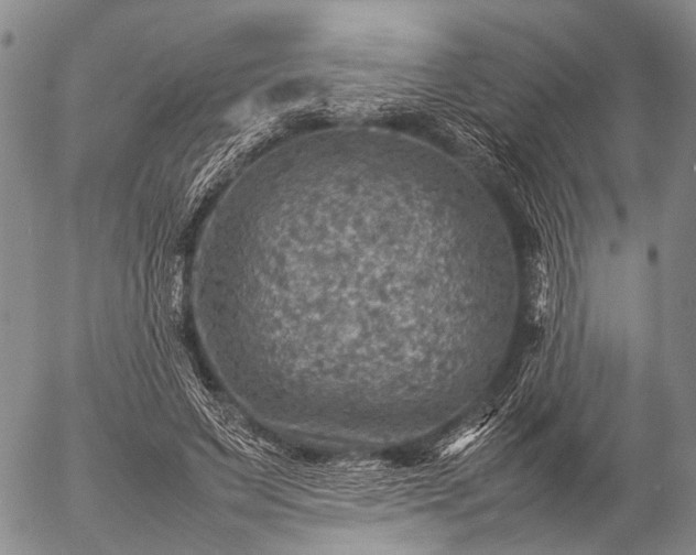 X0000057080495200509161608