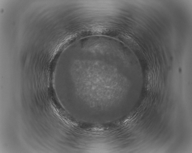 X0000057080496200509161608