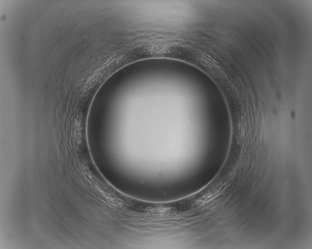 X0000057080497200509161608